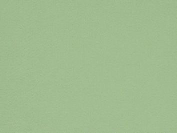 Acrylic Felt Fabric - Mint