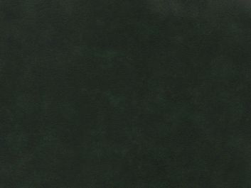 Budget Large Grain Leatherette, Bottle