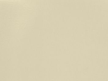 Fire Resistant Leatherette - Cream