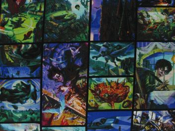 Harry Potter Scene Frames Cotton Print