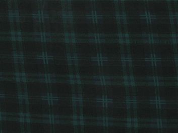 Lightweight Cotton Jersey, Ailsa Green