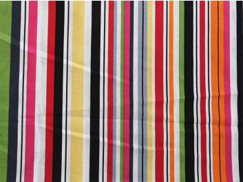 Multi Stripe Printed Canvas
