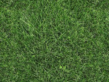 Photographic Grass Cotton Print