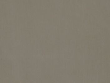 Plain Cotton - Stone