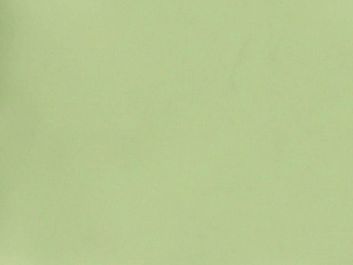 Plain Polyester Lining - Pistachio