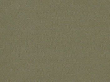 Plain Polyester Suiting, Light Brown