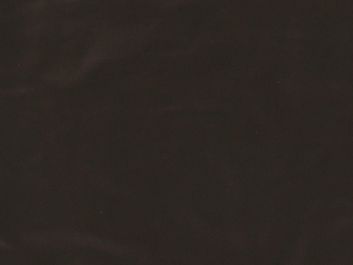 Polyester Spandex (PU Coated) - Brown