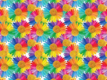 Rainbow Daisies Cotton Print