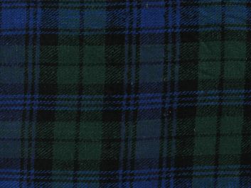 Raw Silk Noile Tartan, Green