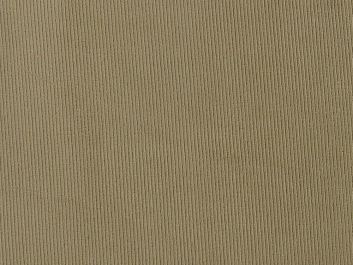 Ribbed Velour Jersey, Beige