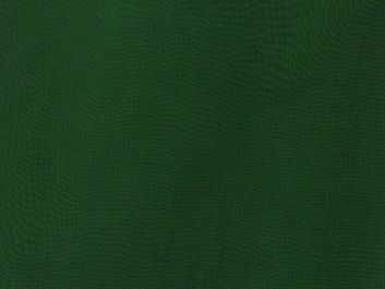 Silk Organza, Forest