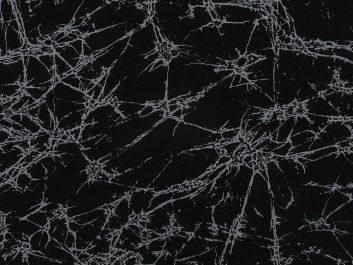 Silver Frost Stretch Cotton, Black and Silver