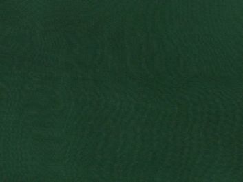 Stiff Silk Organza, Forest