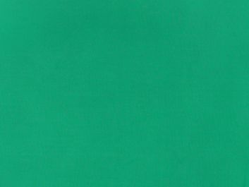 Stiff Silk Organza, Light Green