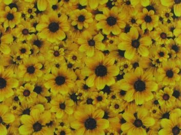 Yellow Daisy Cotton Print